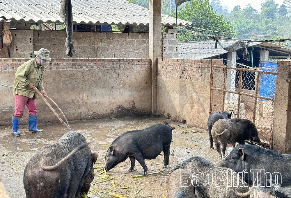 Khâu đột phá trong tái cơ cấu nông nghiệp