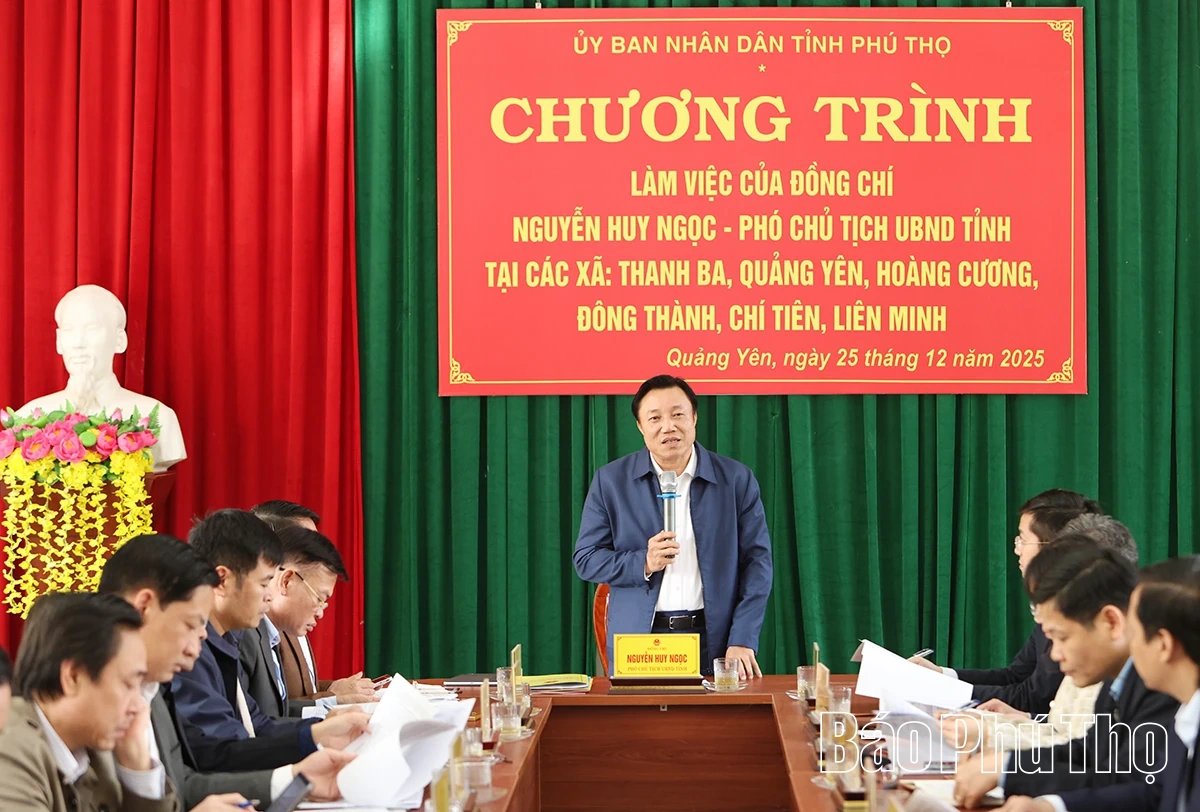 Phó Chủ tịch UBND tỉnh Nguyễn Huy Ngọc thăm, làm việc với 6 xã