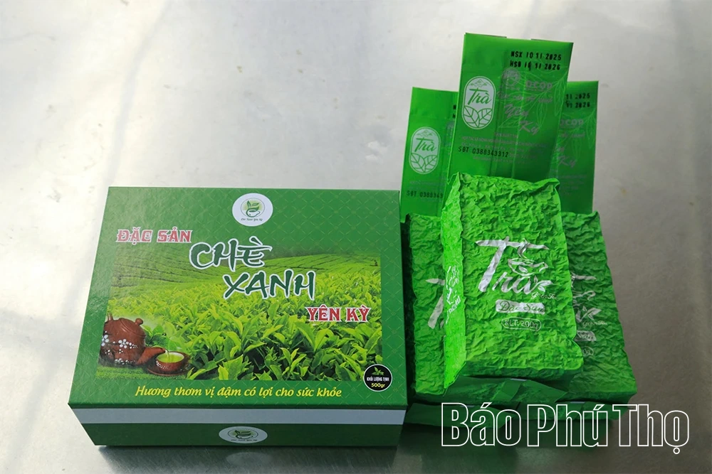Đất quê vương vấn tình chè