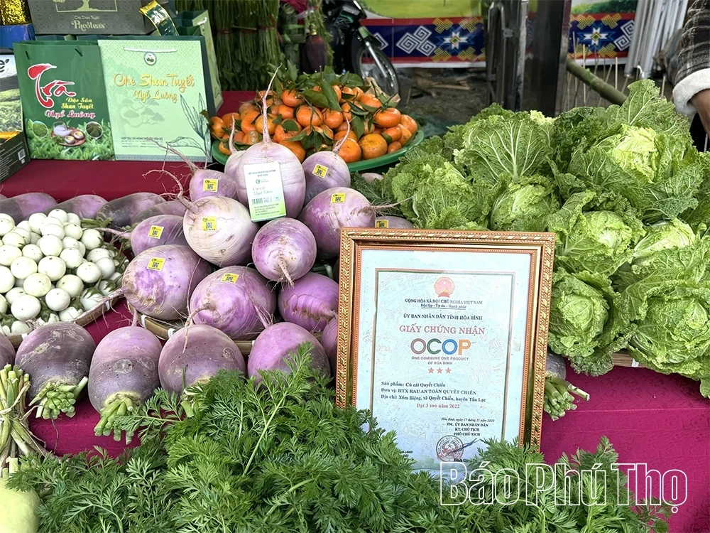 Vibrant Culture, Sports, and Tourism Festival in the Land of Thung May