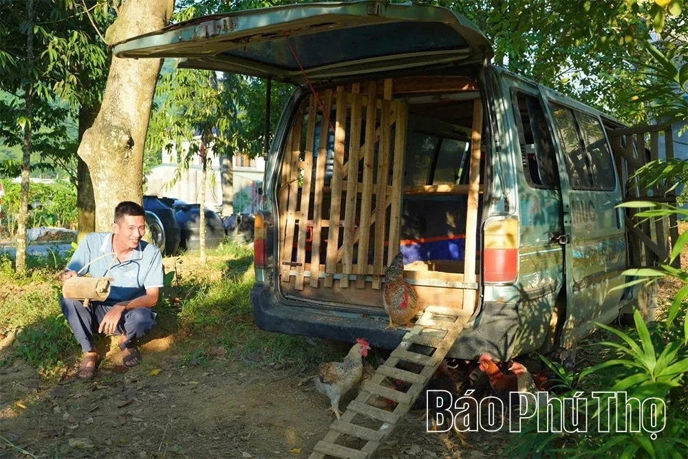 Nomadic Chicken Farming - Preserving and Promoting the Multi-Claw Chicken Breed of Tan Son