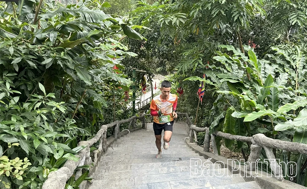 Những bước chân trên đỉnh Tây Thiên