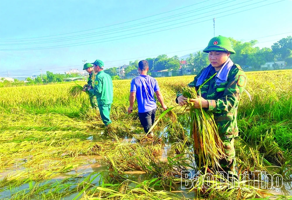 Điểm tựa của Nhân dân
