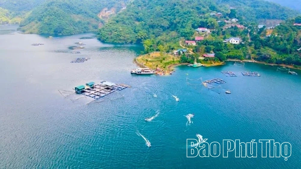 Tan Hoa - A place with untapped tourism potential