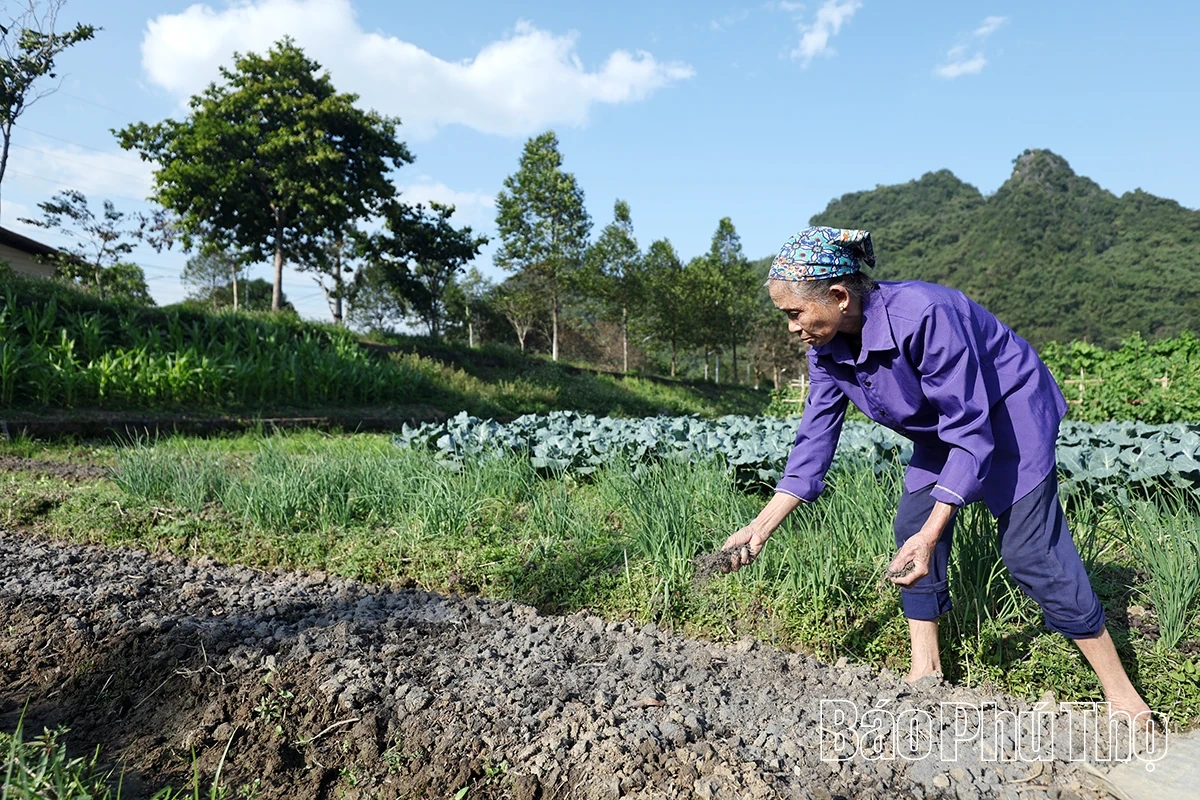 Xã Kim Bôi đẩy mạnh sản xuất vụ đông