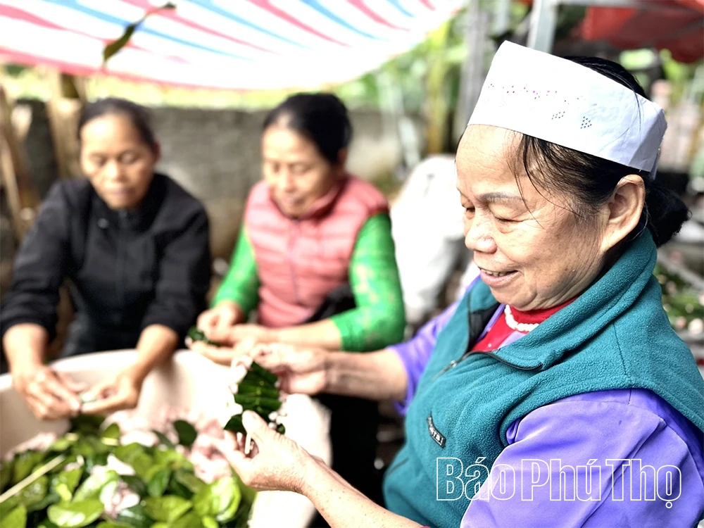 Chả cuốn lá bưởi - tinh túy ẩm thực xứ Mường