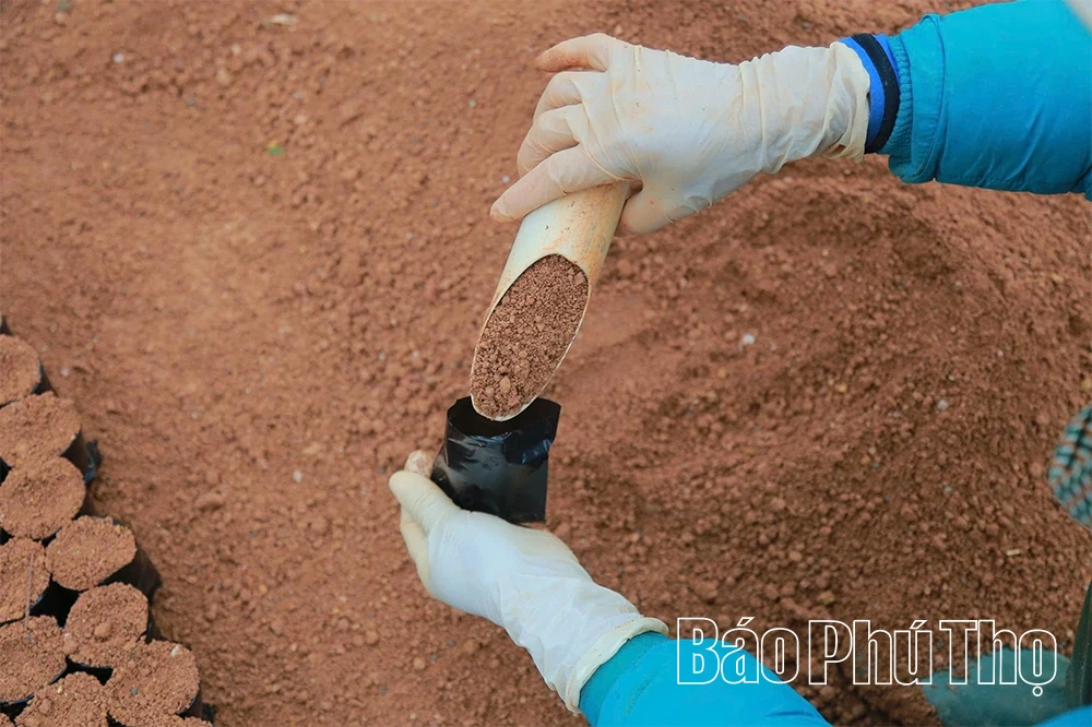 “Đánh thức” mầm xanh