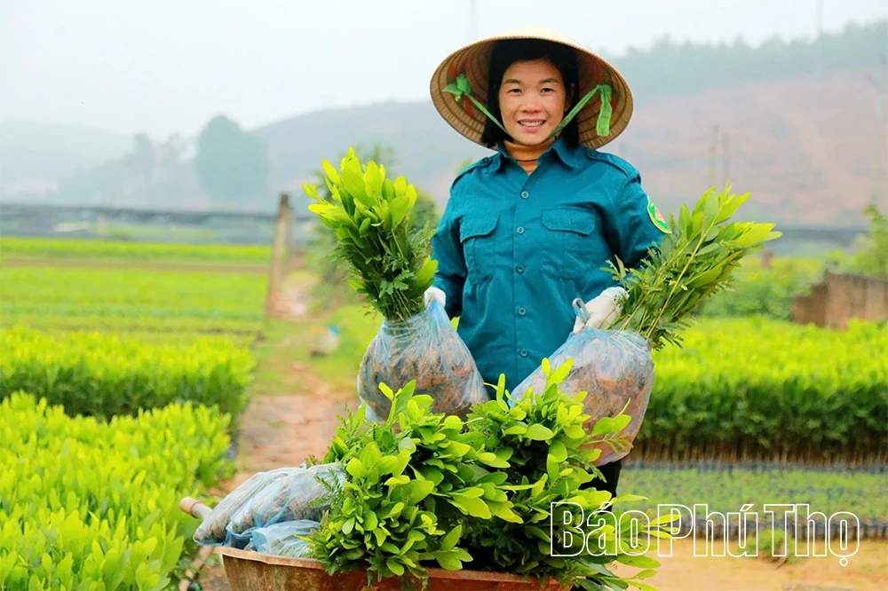 “Đánh thức” mầm xanh