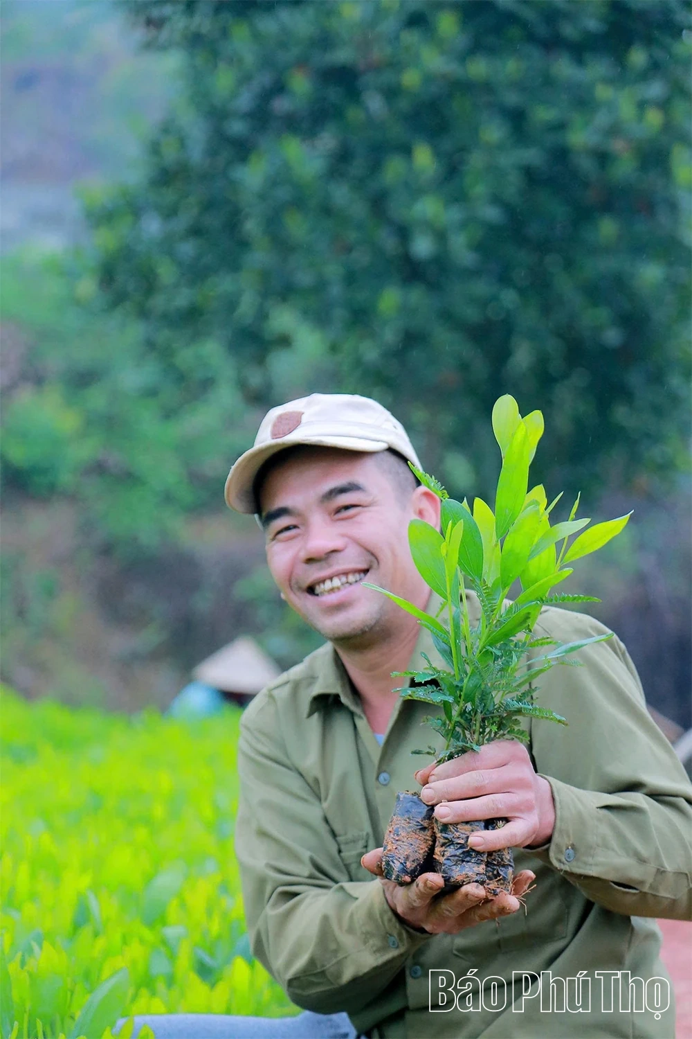 “Đánh thức” mầm xanh