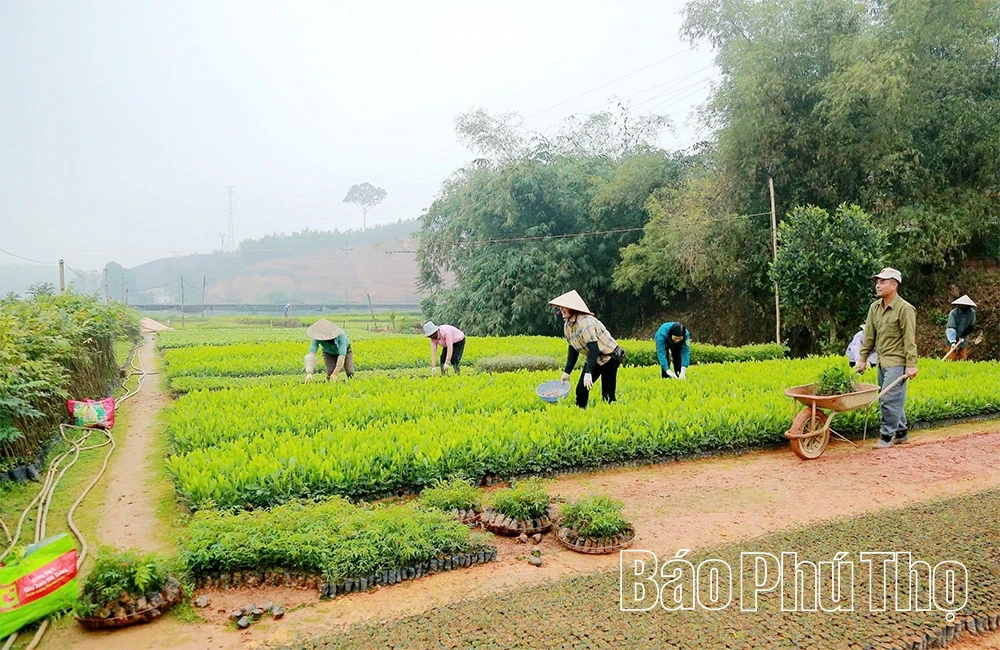 “Đánh thức” mầm xanh