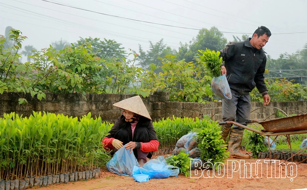 “Đánh thức” mầm xanh