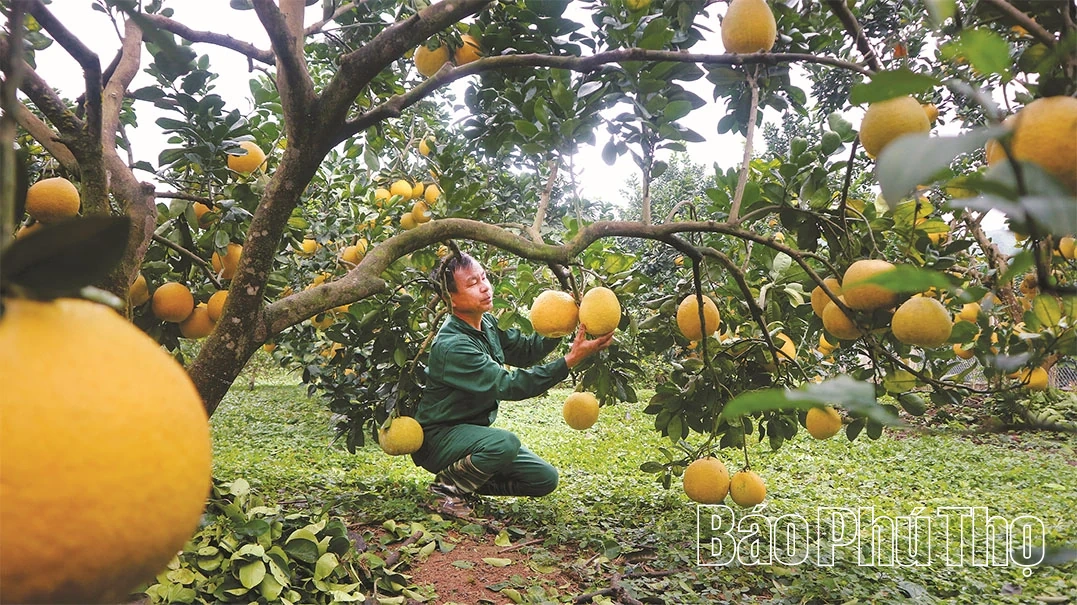 Lộc Xuân từ đồng đất
