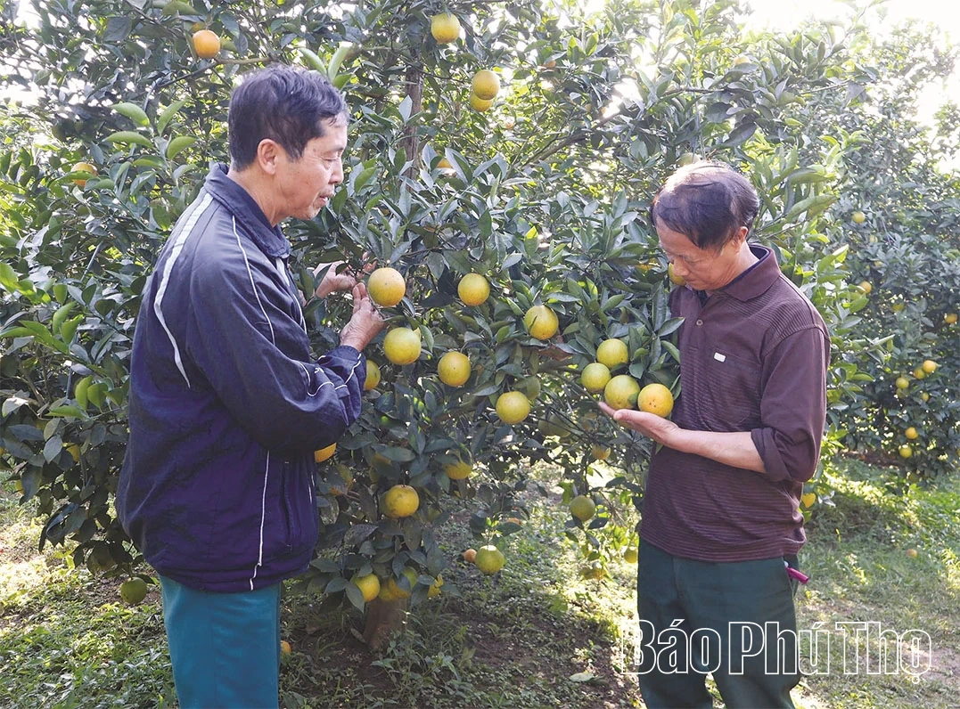 Làm “hộ chiếu” cho sản phẩm