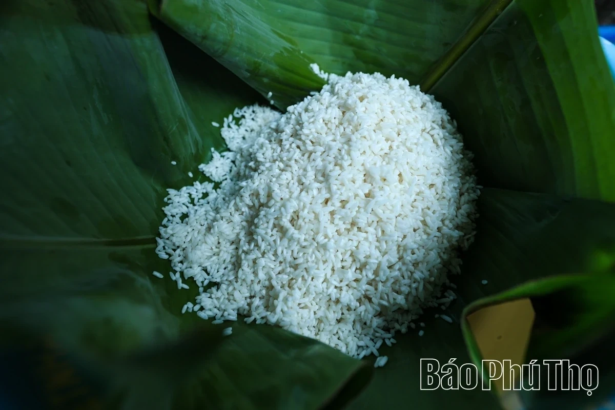 Fragrant and Sticky Bamboo Rice from Muong Dong