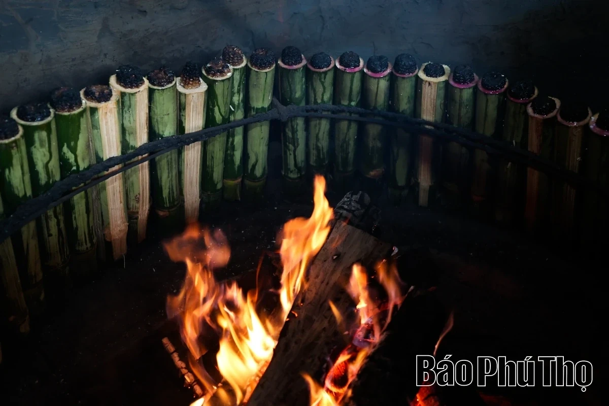Fragrant and Sticky Bamboo Rice from Muong Dong
