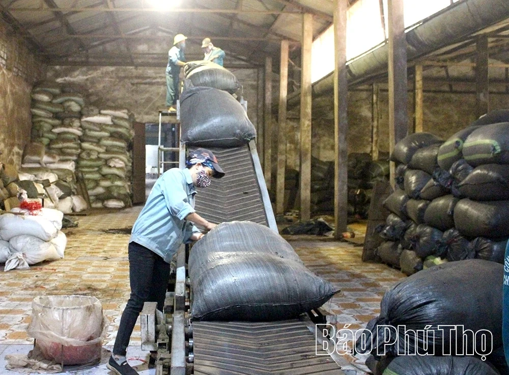 Halal: A Potential Market for Phu Tho Tea