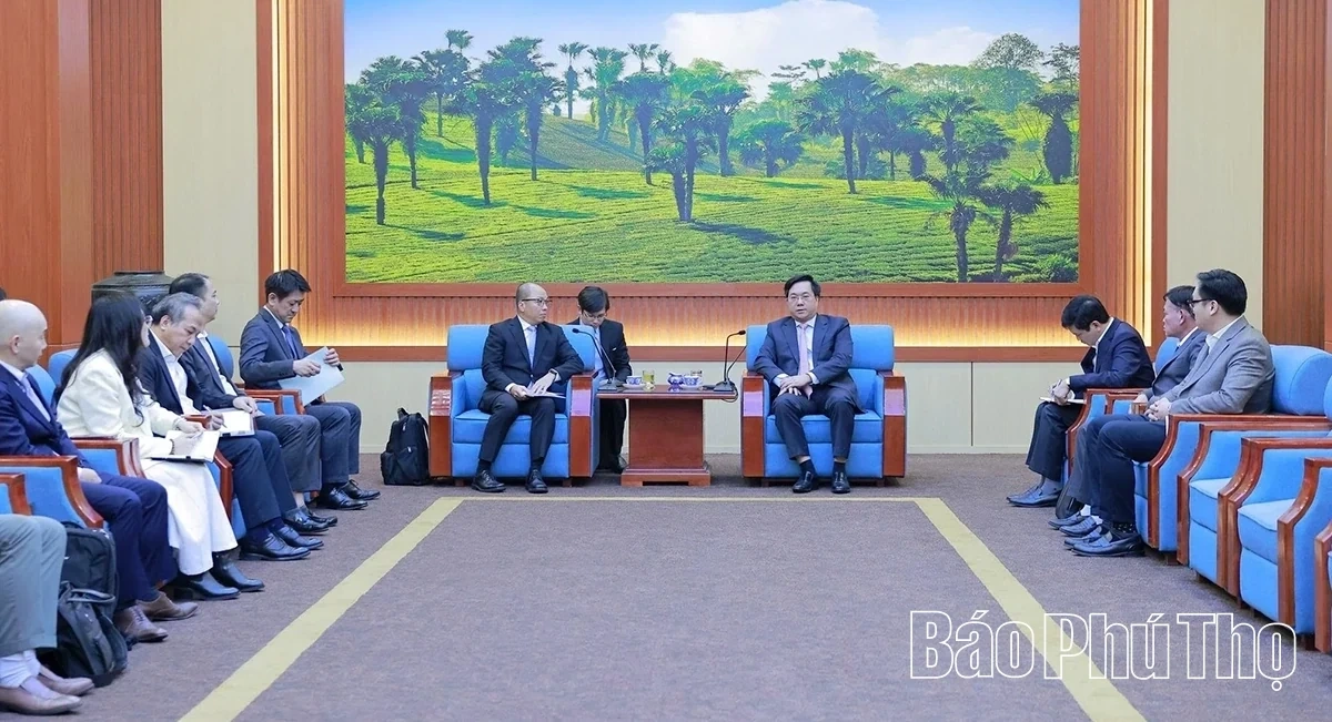 Chairman of Provincial Peoples Committee Tran Duy Dong has a meeting with Leaders of Toyota Motor Vietnam