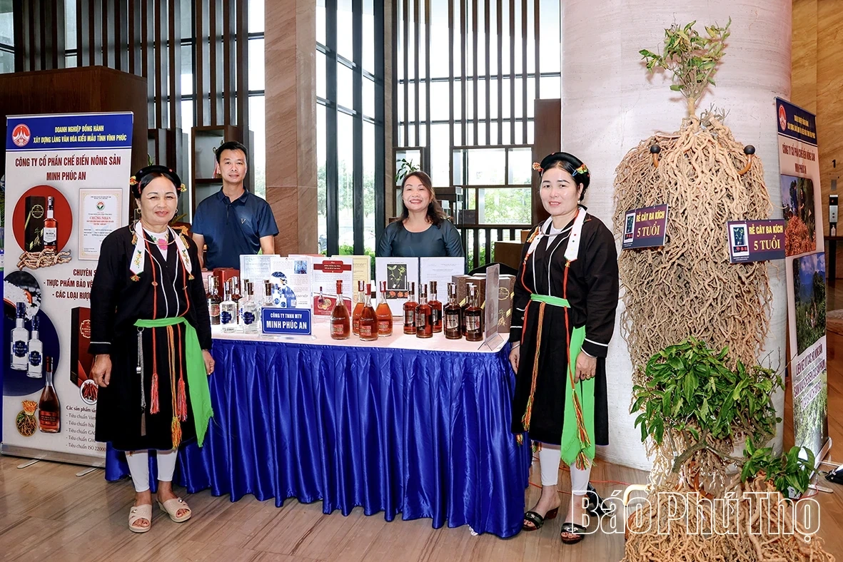 Purple morinda root: The Medicinal Plant Paving the Way for Sustainable Poverty Reduction