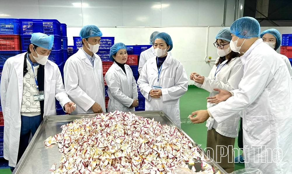 Đánh giá, phân hạng 46 sản phẩm OCOP