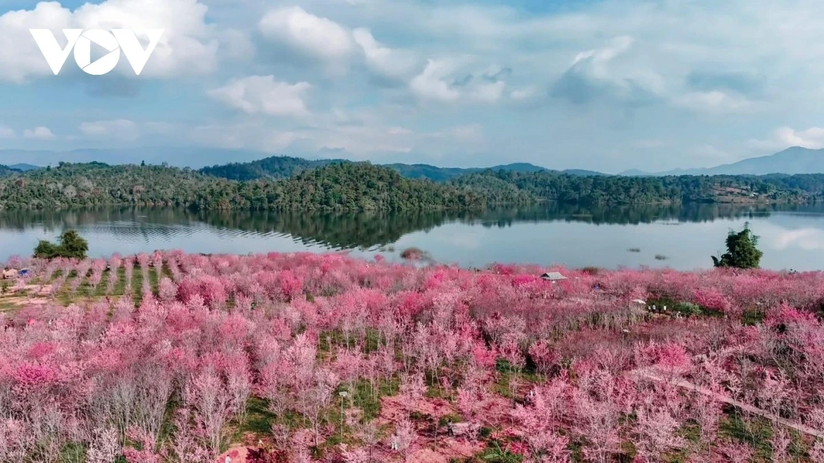 Điện Biên đổi mới cách làm du lịch, tạo bứt phá cho năm 2026