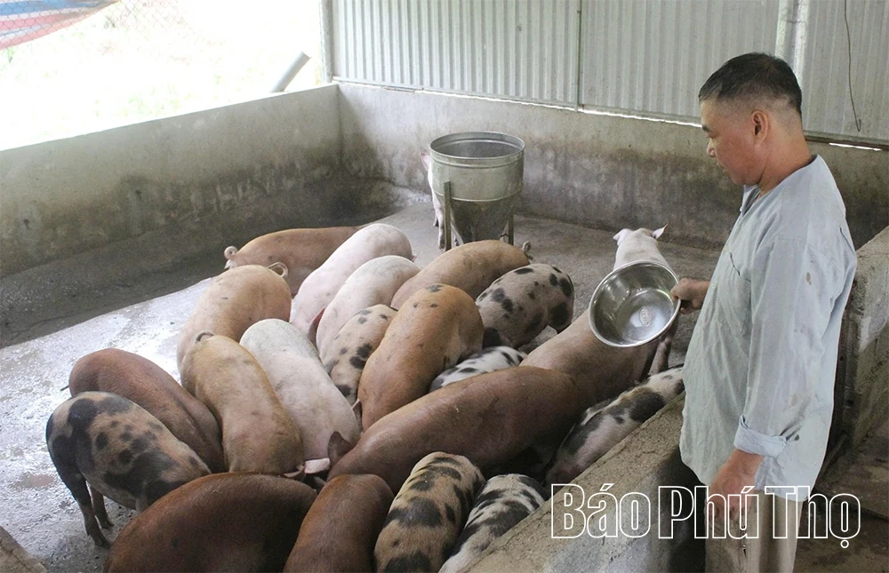 Đảng bộ xã Cao Sơn đưa nghị quyết vào cuộc sống