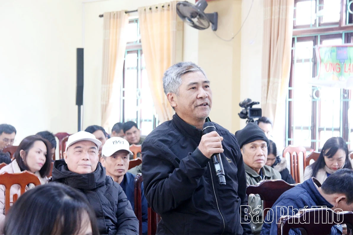 Tạo nền tảng bền vững cho vùng cây ăn quả có múi sau tái canh giai đoạn 2026-2030