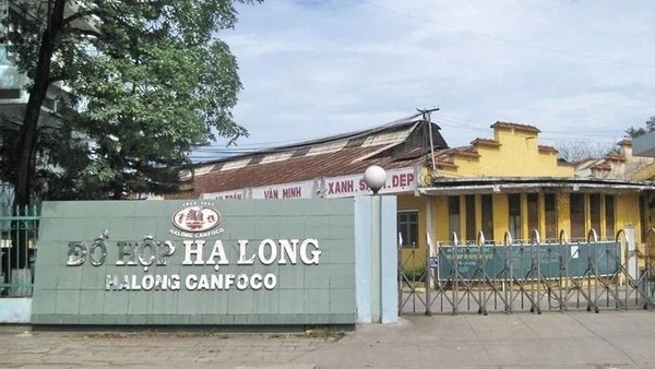 Bắt khẩn cấp Tổng Giám đốc Công ty Cổ phần Đồ hộp Hạ Long