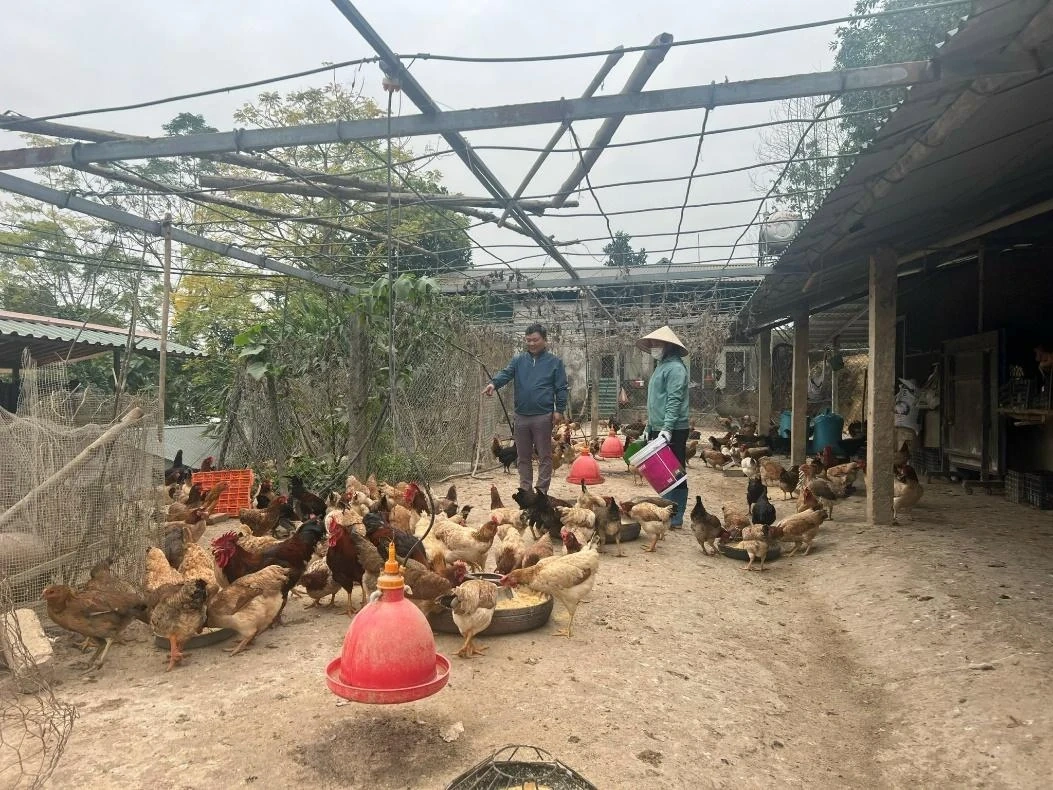 Trung tâm Nông sản xanh Sáng Nhung: Cung cấp hàng OCOP chất lượng cao