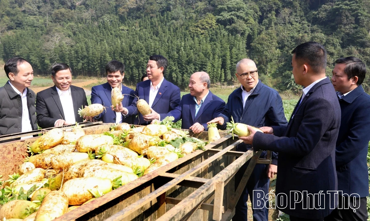 Bí thư Tỉnh ủy Phạm Đại Dương làm việc với các xã Tân Lạc, Toàn Thắng, Mường Bi, Mường Hoa, Vân Sơn