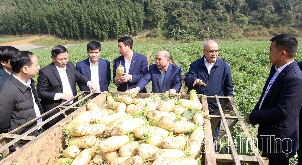 Provincial Party Secretary Pham Dai Duong Works with Tan Lac, Toan Thang, Muong Bi, Muong Hoa, and Van Son Communes