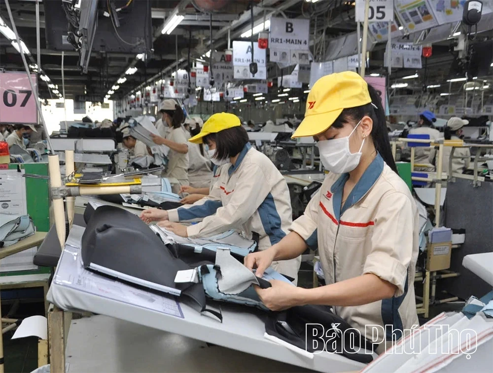 Innovating the Growth Model: Creating Momentum for Phu Tho’s Breakthrough