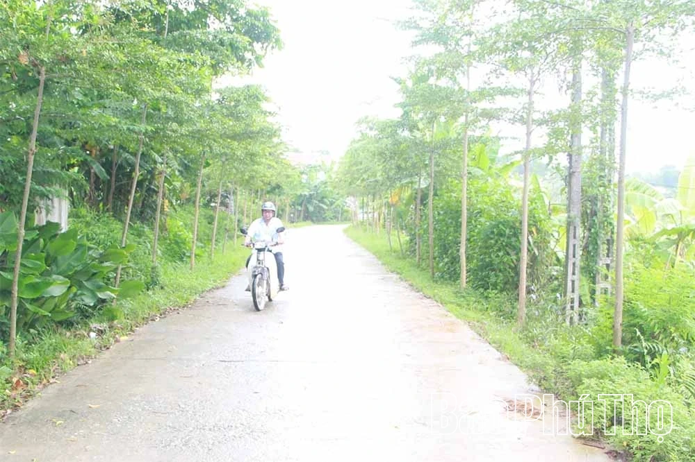 Khởi sắc khu dân cư nông thôn mới kiểu mẫu Xuân Tân