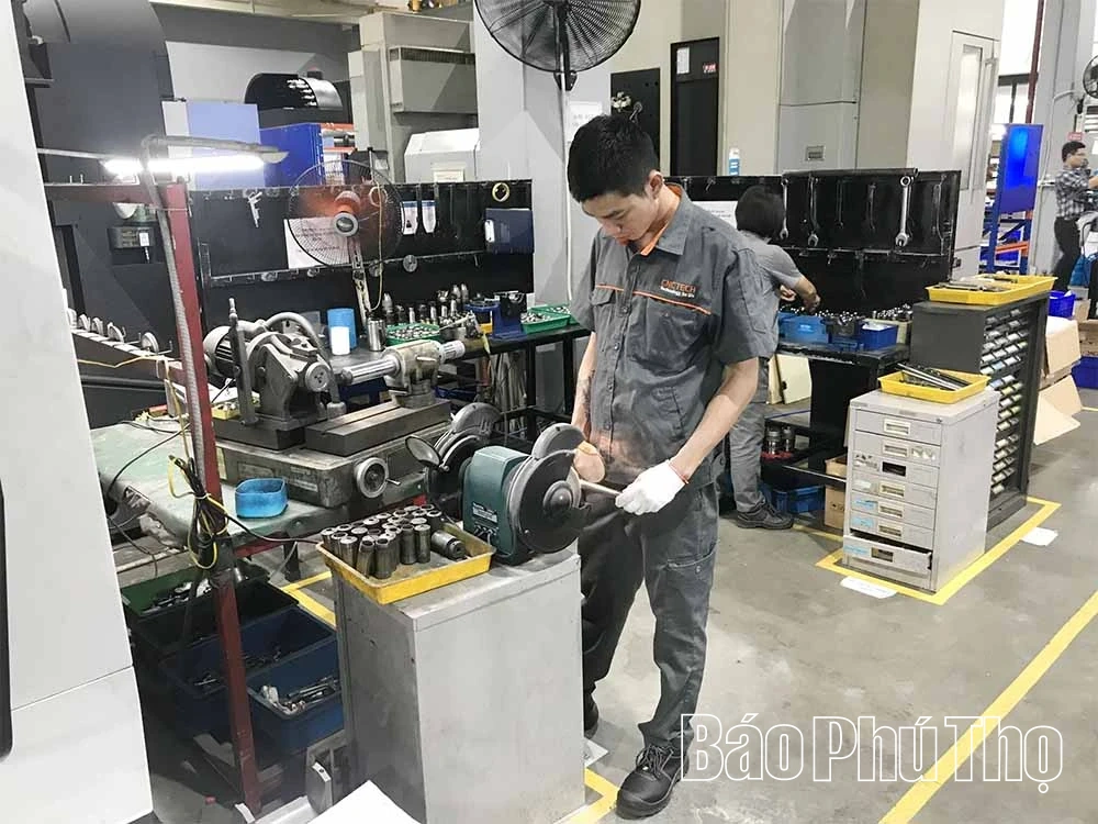 Động lực của kinh tế tư nhân