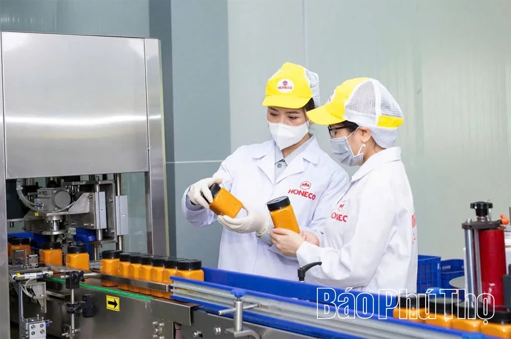 Người đem thương hiệu “Mật ong Tam Đảo” ra thế giới