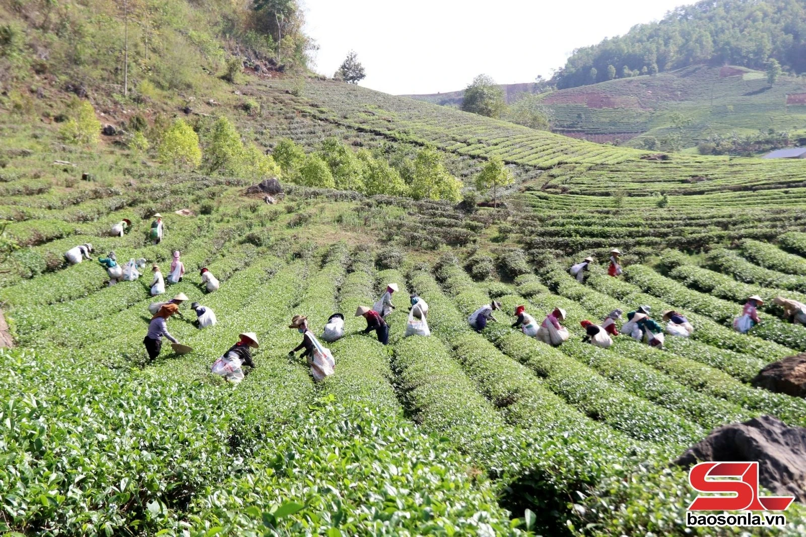 Khám phá du lịch Bình Thuận