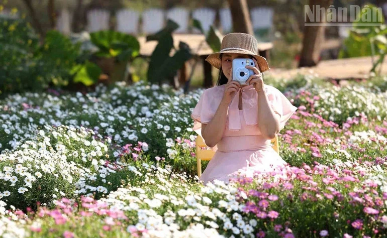 Hẹn ước mùa hoa trên cao nguyên Mộc Châu