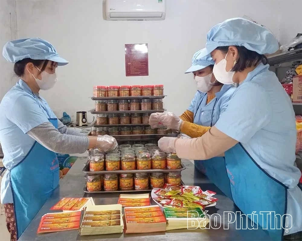 The Culinary Essence of Muong Land