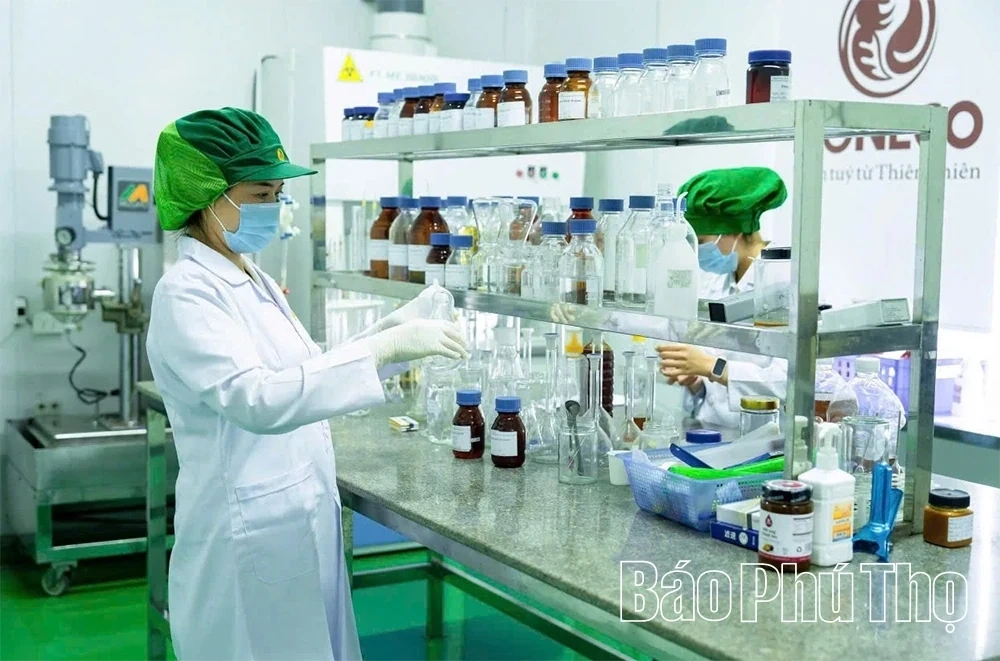 The Woman Bringing the Tam Dao Honey Brand to the World