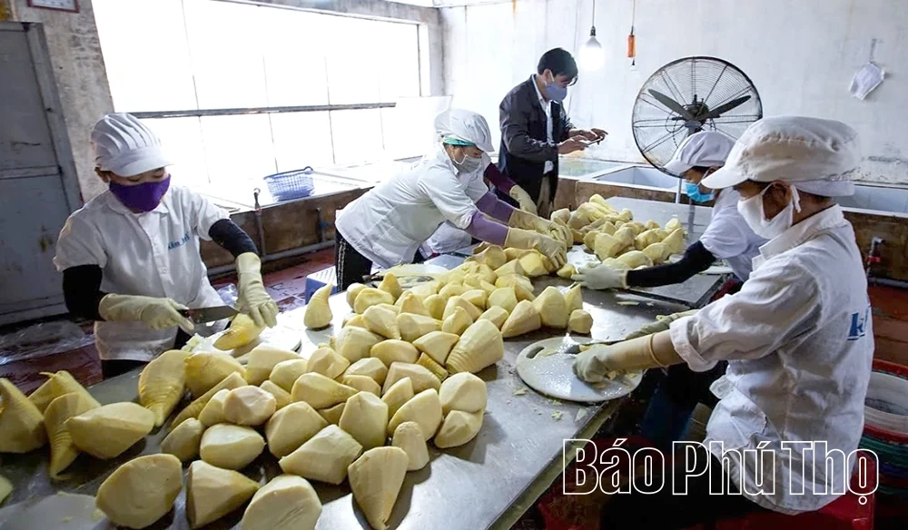 Siết chặt quản lý vật tư nông nghiệp