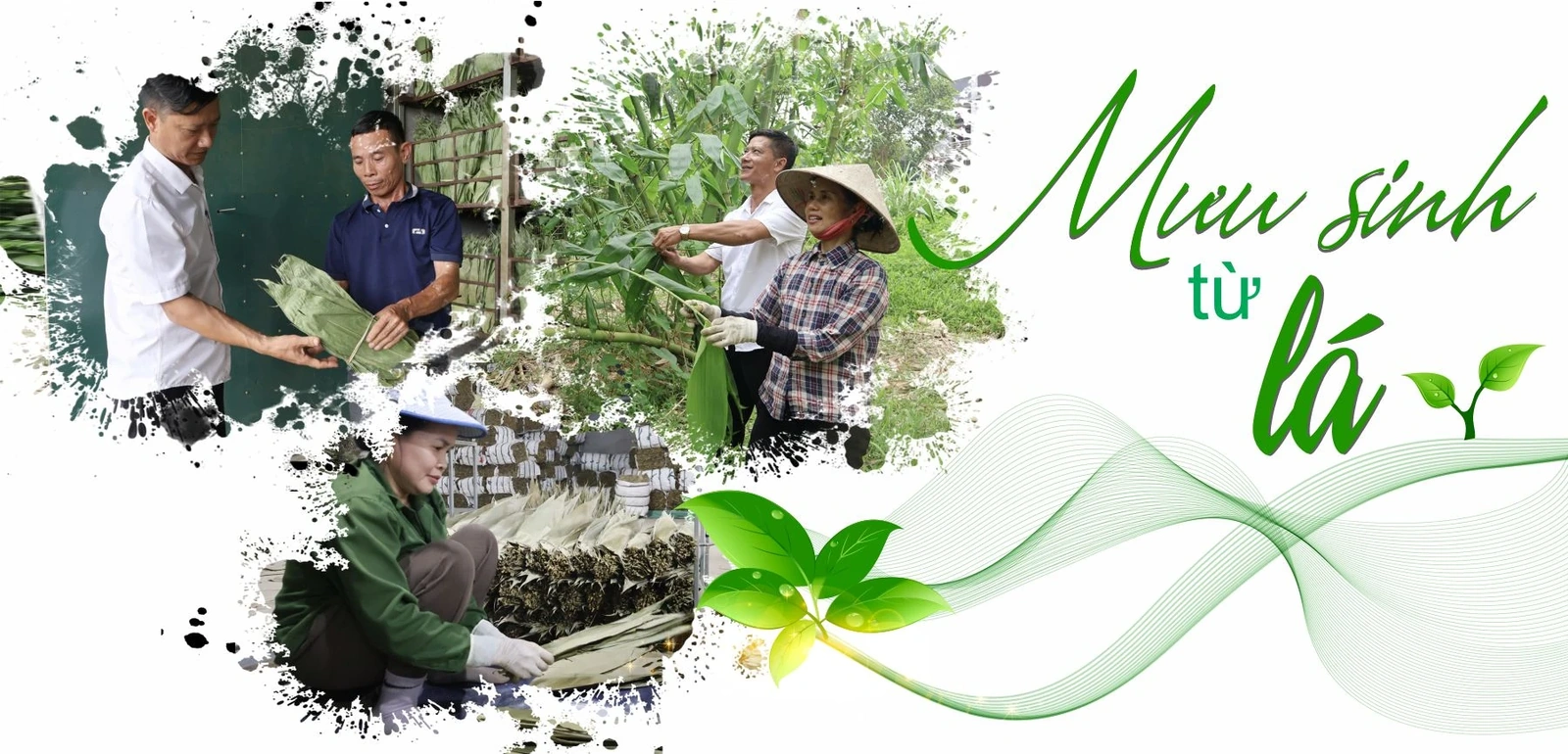 Mưu sinh từ lá