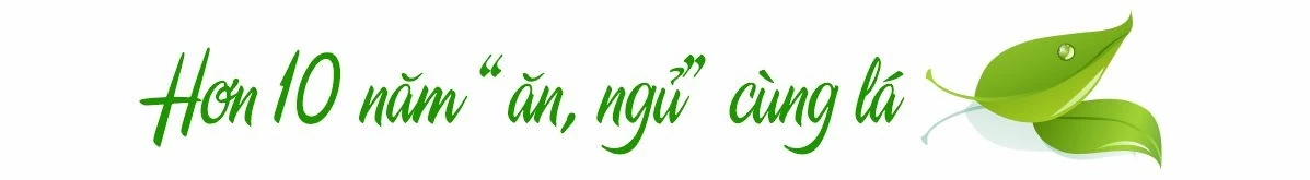 Mưu sinh từ lá