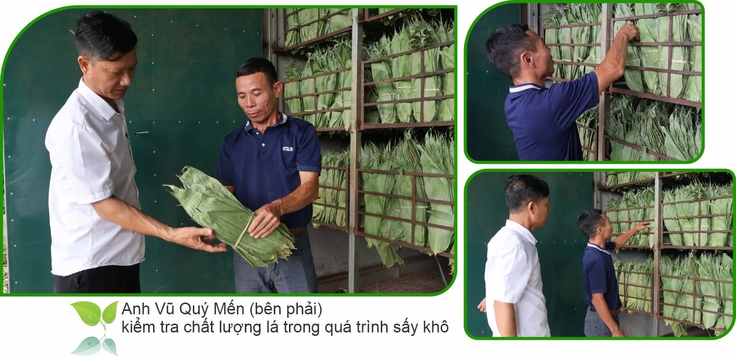 Mưu sinh từ lá