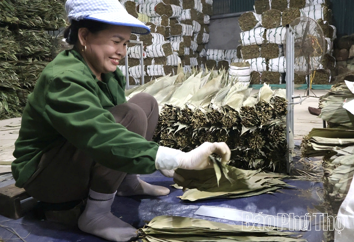 Mưu sinh từ lá