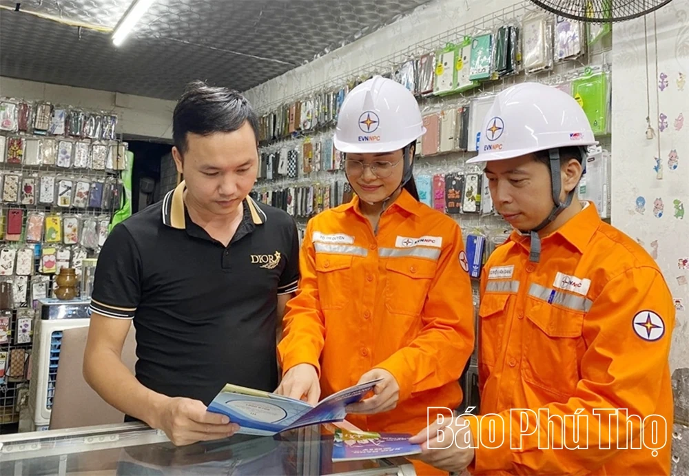 Đảm bảo cung cấp điện ổn định, an toàn