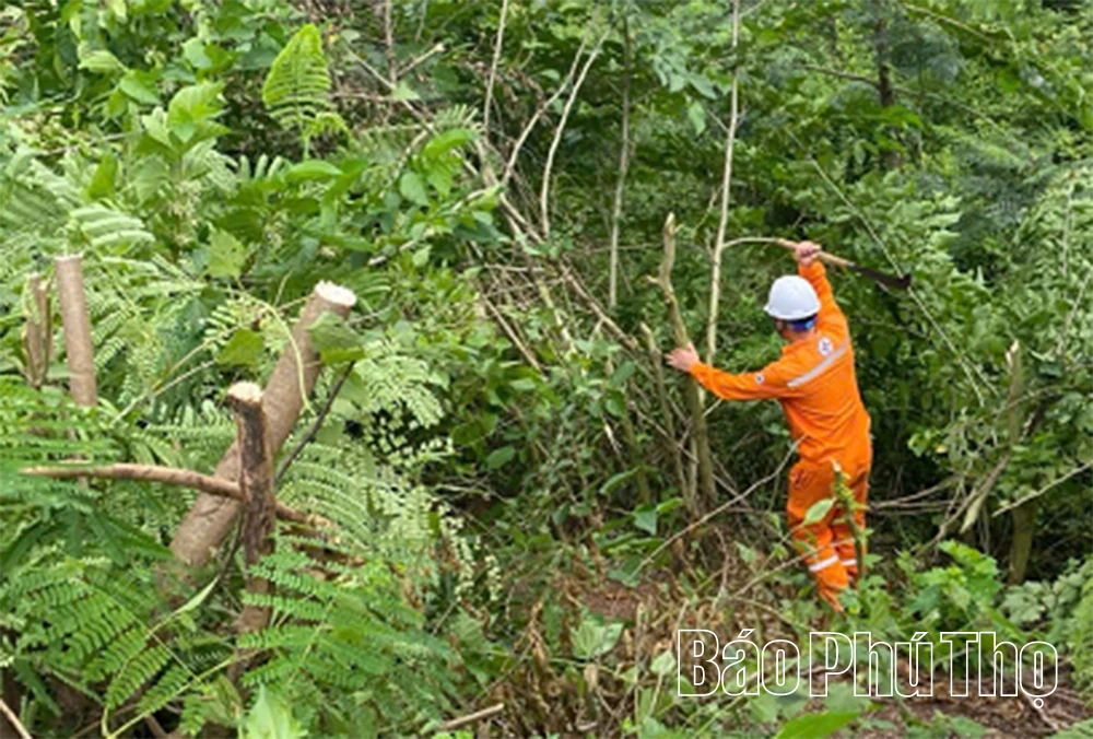 Đảm bảo cung cấp điện ổn định, an toàn