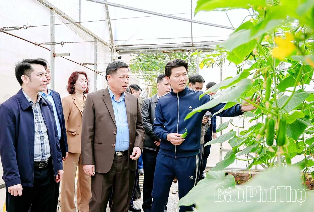 Phó Chủ tịch UBND tỉnh Đinh Công Sứ kiểm tra một số mô hình sản xuất nông nghiệp