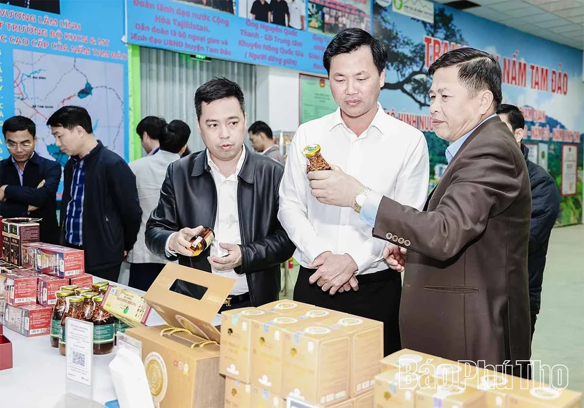 Phó Chủ tịch UBND tỉnh Đinh Công Sứ kiểm tra một số mô hình sản xuất nông nghiệp