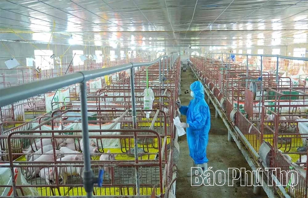 Niềm vui cuối năm