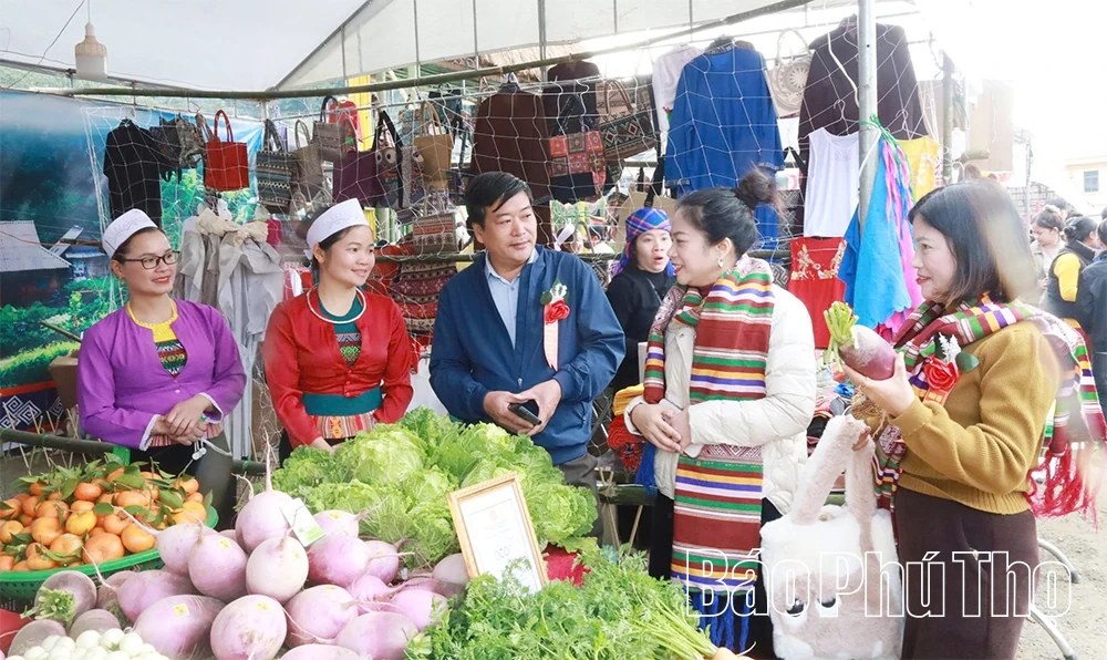 Tiên phong phát triển rau an toàn trên vùng cao Vân Sơn