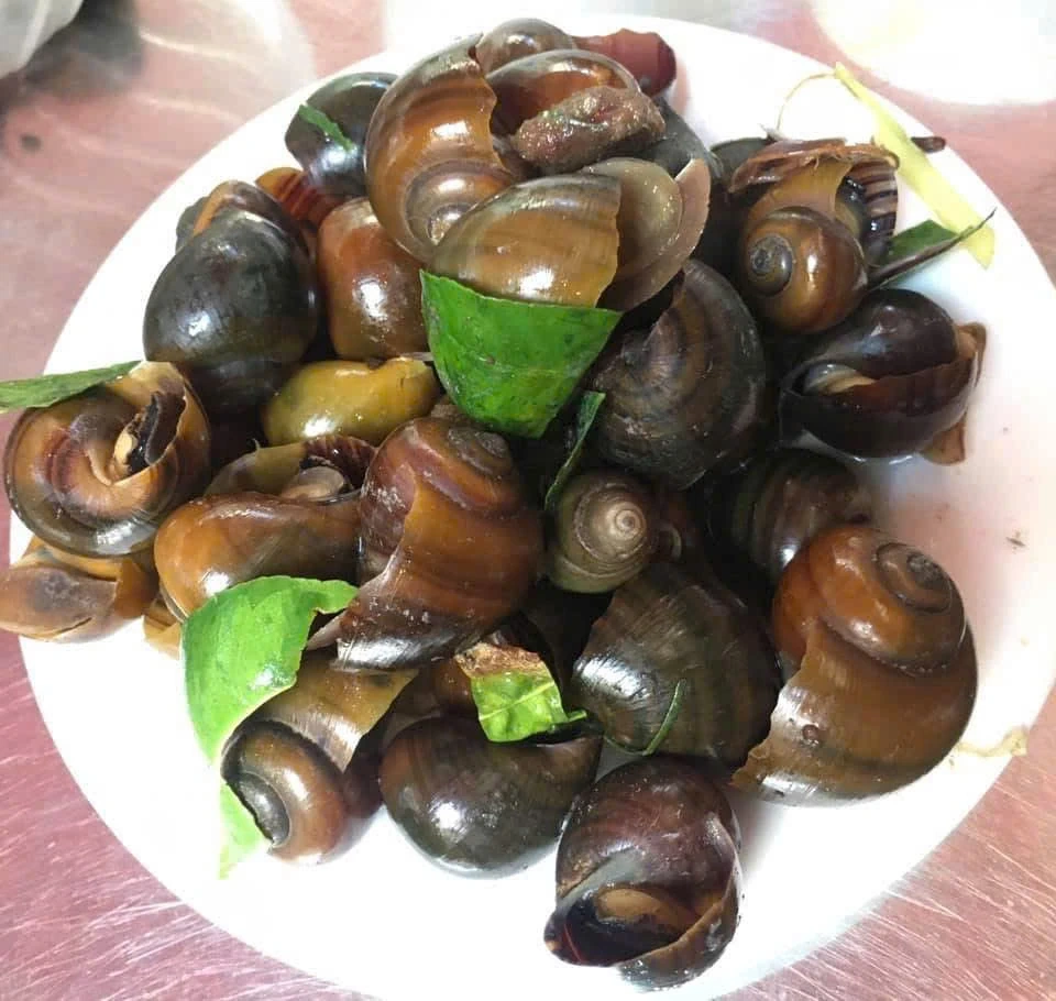 Cách chọn ốc làm sẵn ngon sạch, không “ngậm” hóa chất cho bữa cơm gia đình